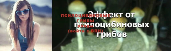 шишки Алексин
