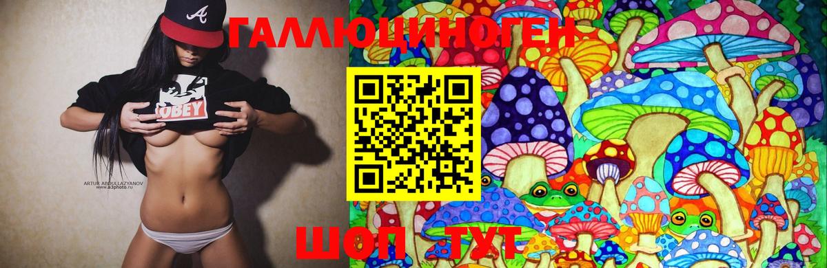 Псилоцибиновые грибы Psilocybine cubensis Новокузнецк