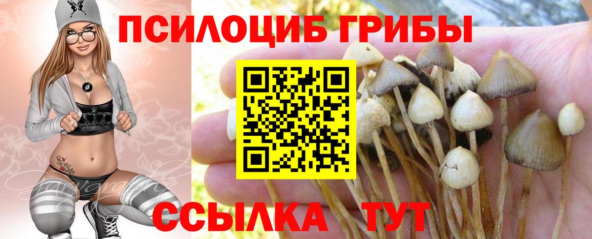Новокузнецк  Псилоцибиновые грибы MAGIC MUSHROOMS  Вход с VPN 