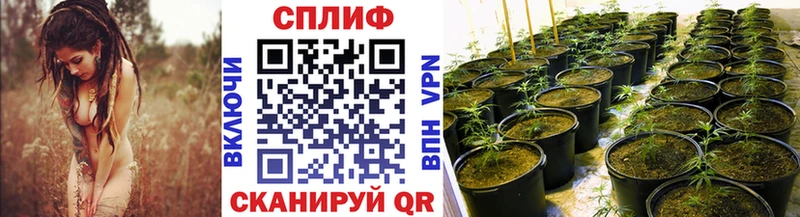 Бошки марихуана THC 21%  где продают   Новокузнецк 